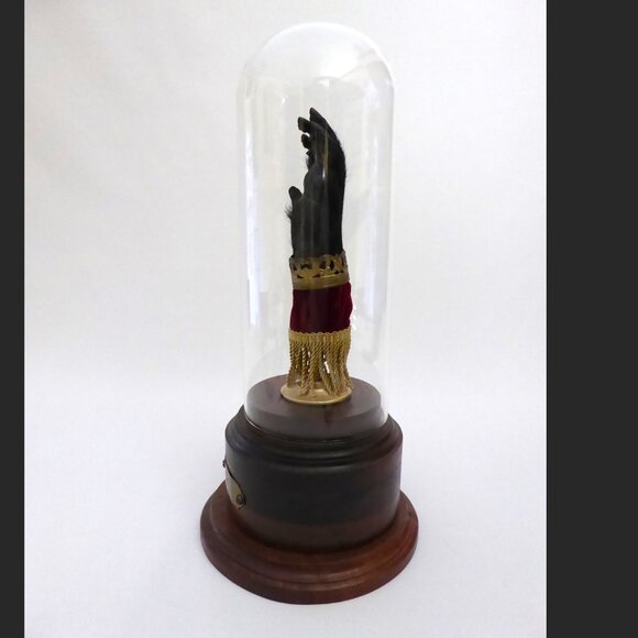16” REAL TAXIDERMY “CURSED” MONKEY PAW HAND IN GLASS DOME DISPLAY BASE ODDITY - Picture 5 of 15